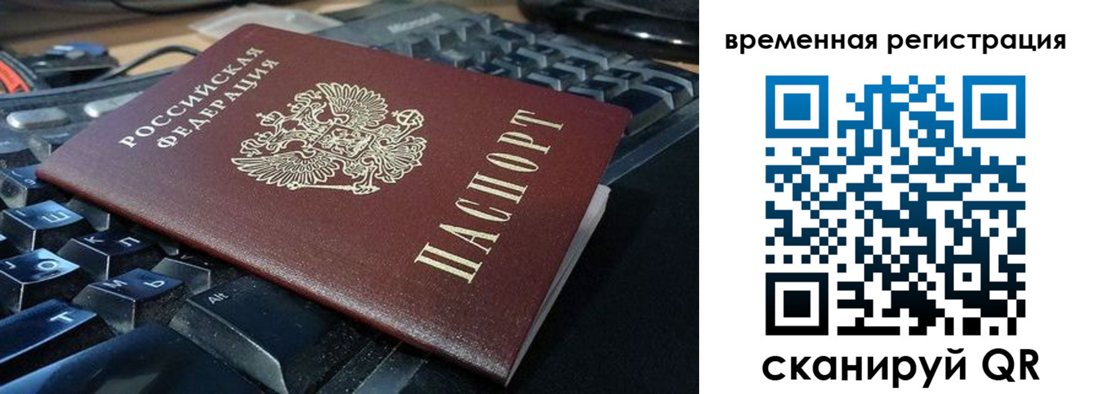 прописка для школы в Апатитах